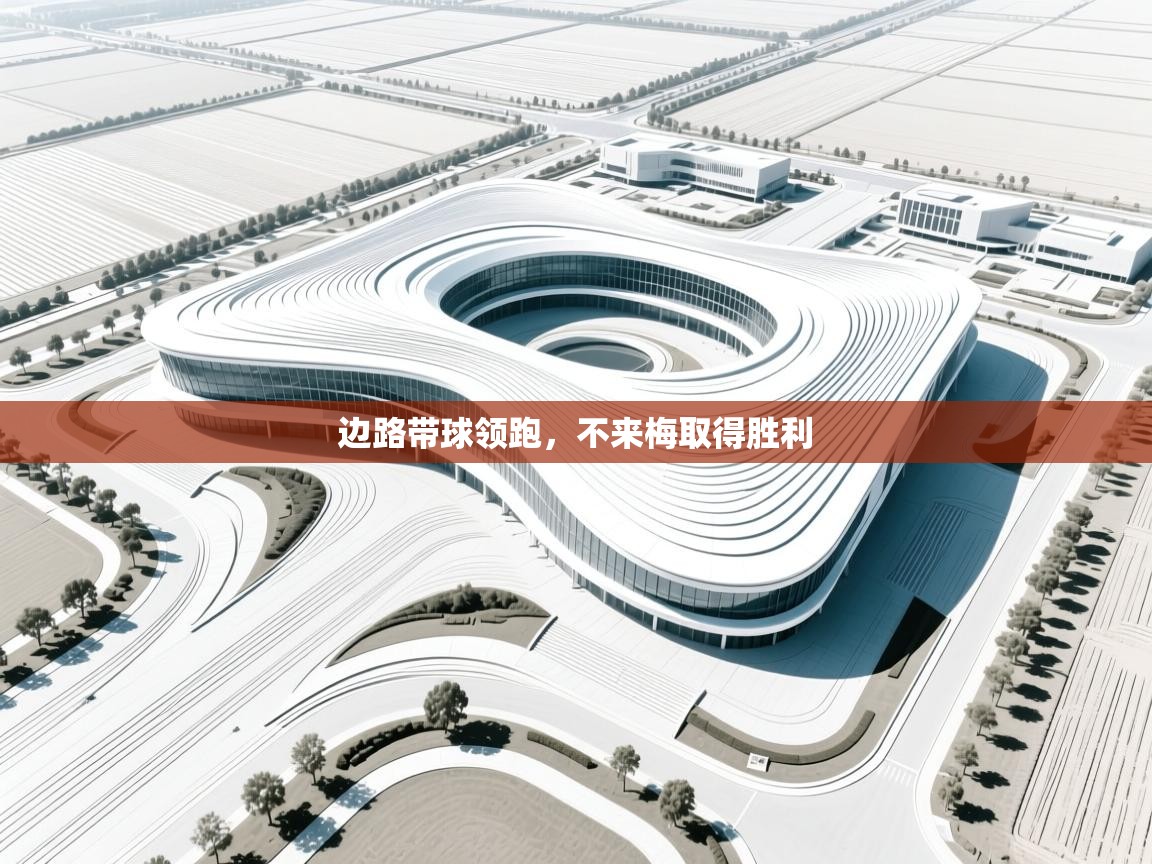 边路带球领跑,不来梅取得胜利 第2张