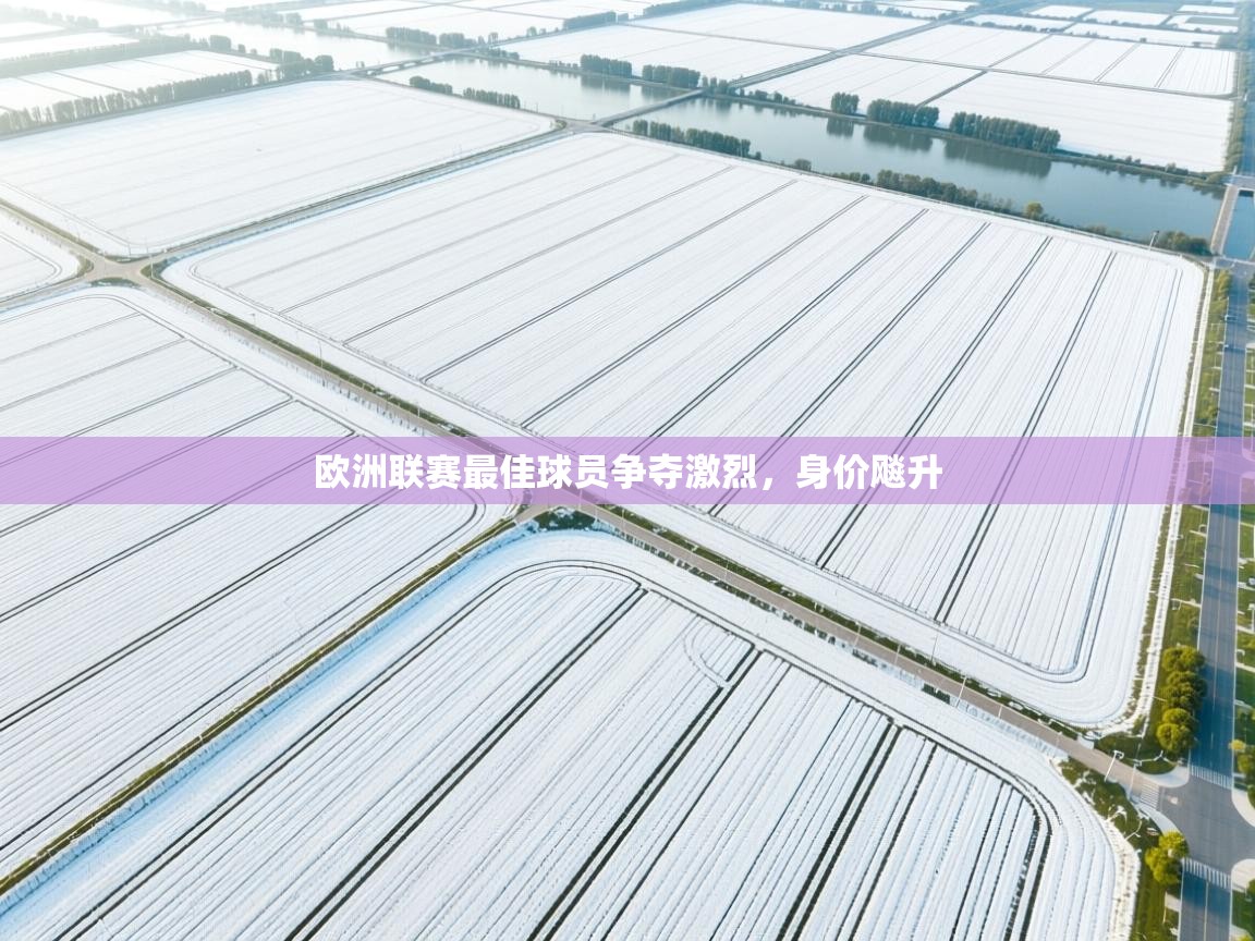 欧洲联赛最佳球员争夺激烈，身价飚升  第1张