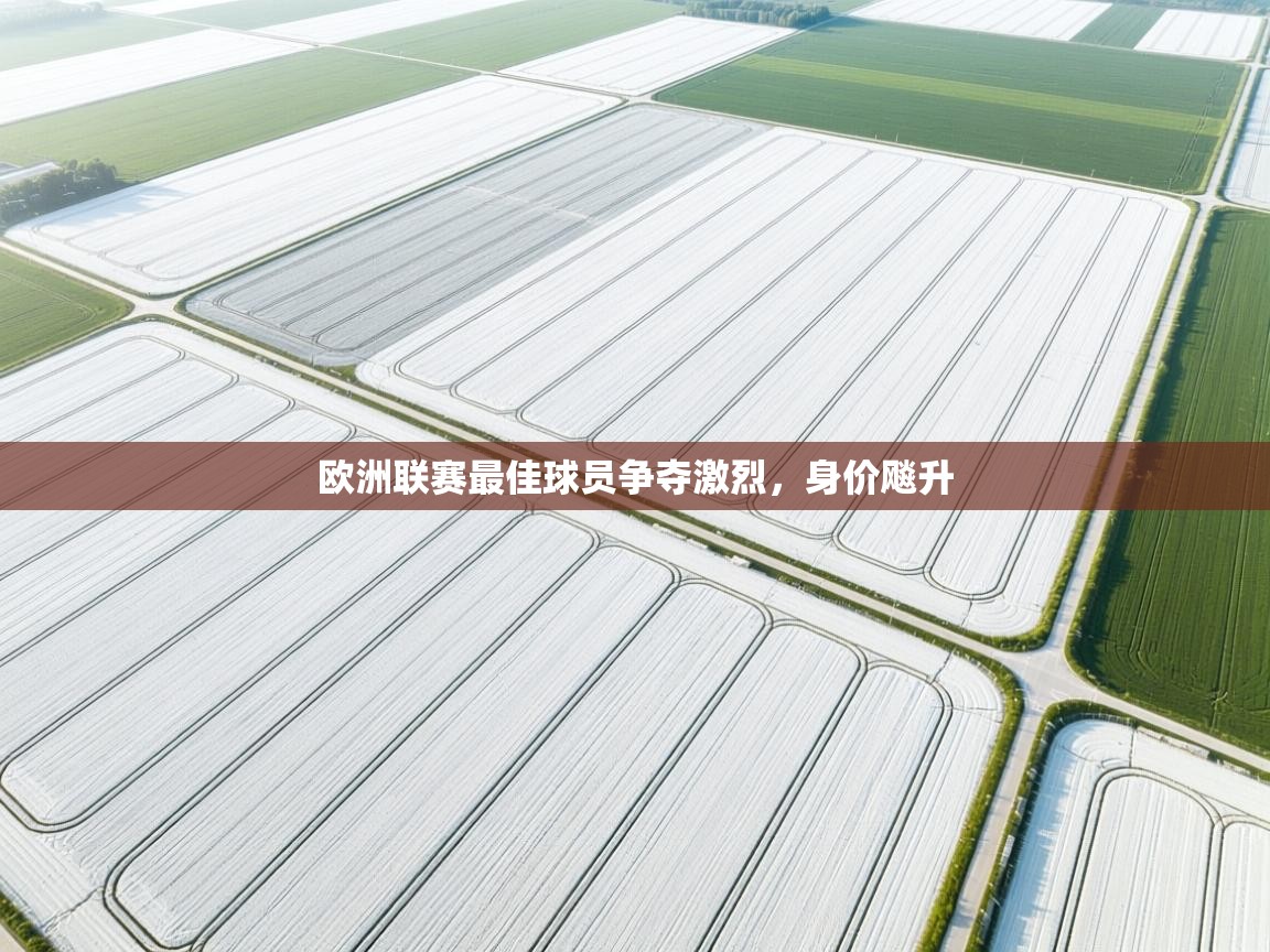 欧洲联赛最佳球员争夺激烈，身价飚升  第2张